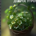 ���� ����� � ����������� �������, ������ - ��������� 6 ������ 2026 � ������ ������ ��������