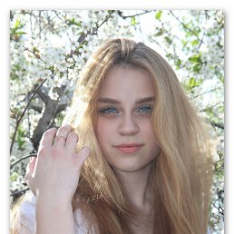 ���� �������, �����-���������, 20 ��� - ��������� 2 ������ 2026