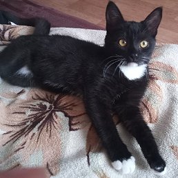 ����, ������