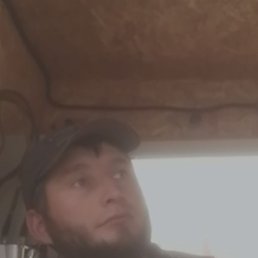 �����, ������, 37 ���