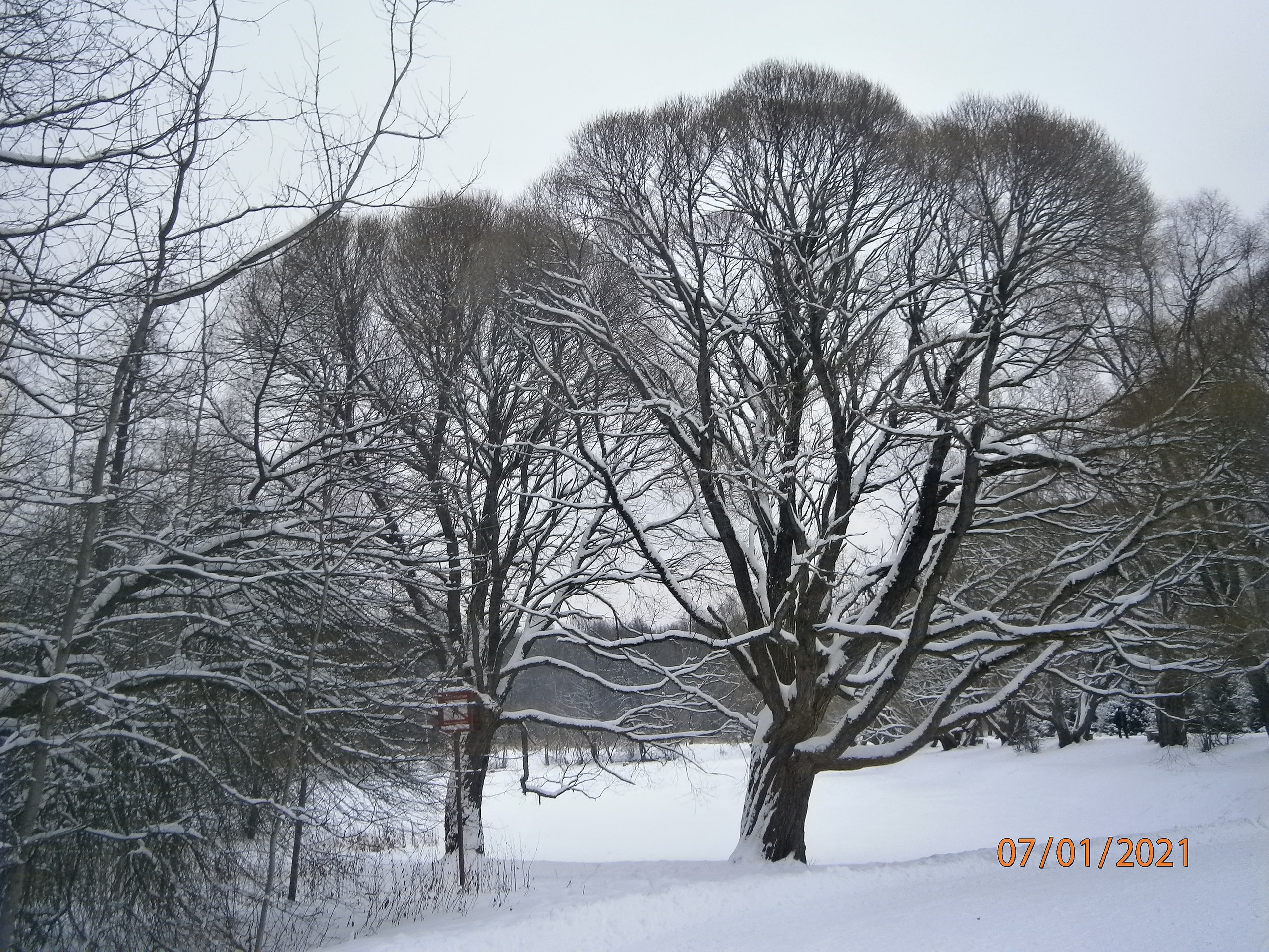 ��������� ������ - 18 ������ 2025 � 18:38