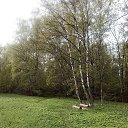 ���� O!, ������, 67 ��� - ��������� 13 ������ 2026 � ������ ����������