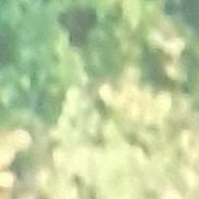 ��������, 30 ���, �����-���������