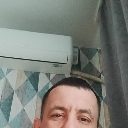 , 41, 