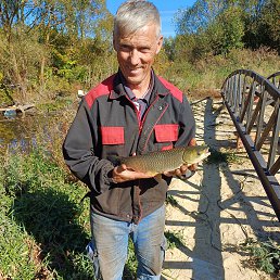 ���� ������, �������, 56 ��� - ��������� 9 ������� 2025