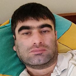 ���� ����, �����-���������, 40 ���