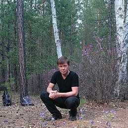 ������, ��������, 48 ���