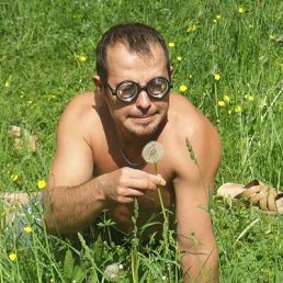 ���������, 42 ����, �����������