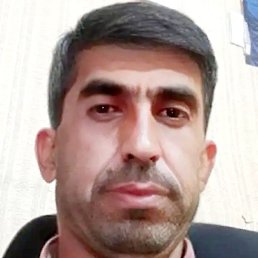 ������, �����-���������, 48 ���