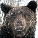 ���� Den, ������, 28 ��� - ��������� 2 ���� 2025 � ������ ���� ����������