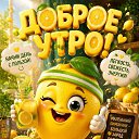 ���� ������, �������� - ��������� 1 ������� 2026 � ������ ������ ��������