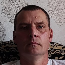 ������, �����, 51 ���