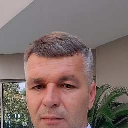, 41, 