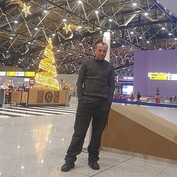 ������, �������, 46 ���