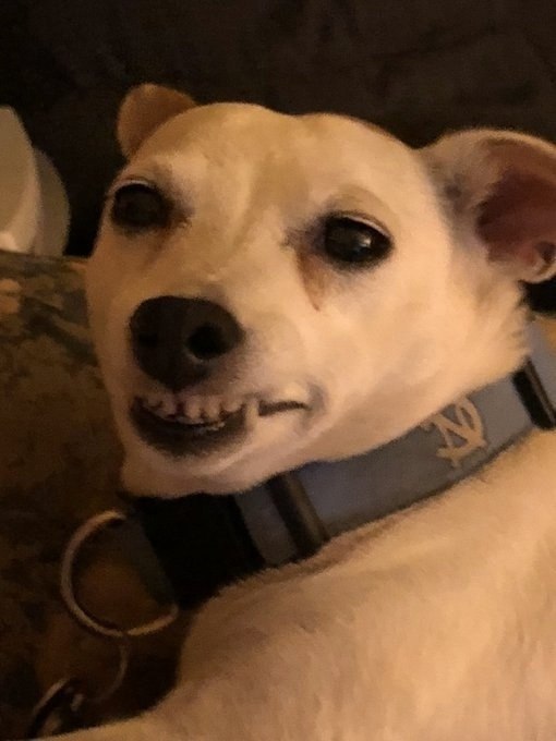 ��� �����: ������� ����� ����, ������� �� ����������, �� ��� ���� �������� ��� ������� ��� ���� ����