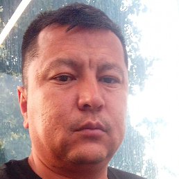 ��������, ������, 37 ���