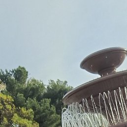 �����, ������, 48 ���