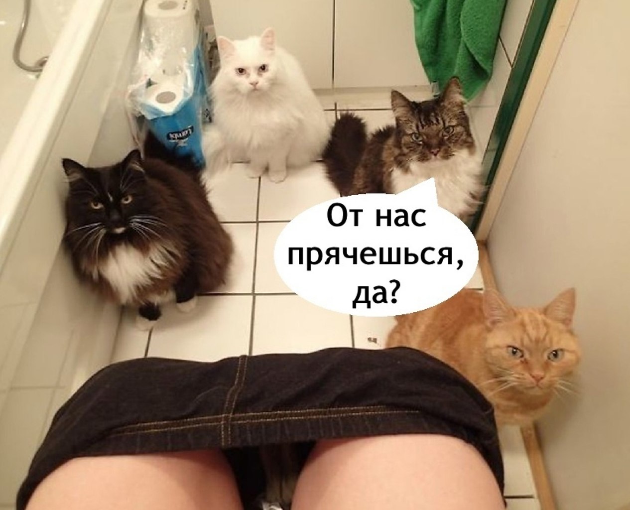   ,    - 2
