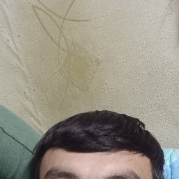 , 29 , 