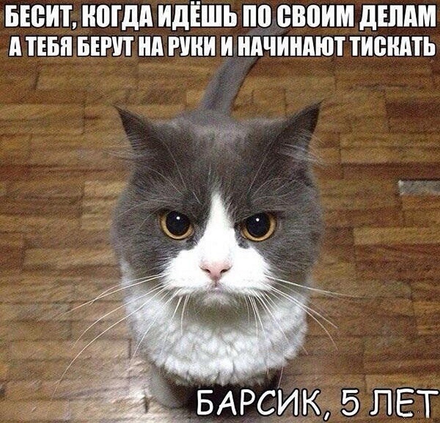 ? ,  ! - 9  2025  06:29