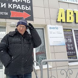 ������, 65 ���, ������