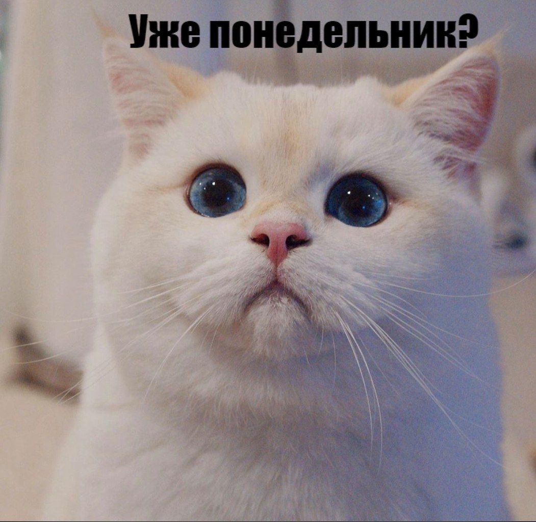       - 17  2025  11:31 - 2