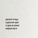 ���� �����, ���������, 53 ���� - ��������� 19 �������� 2025 � ������ ������ ��������