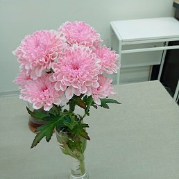 ���� �����, ������ - ��������� 4 ������� 2025