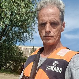, 53, 