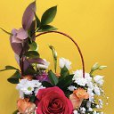 ���� ����, ���������, 48 ��� - ��������� 3 ������� 2024