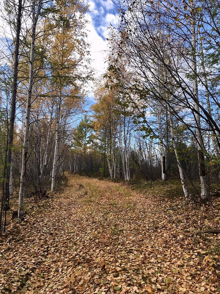 Рeкa Олёкмa, ceнтябpь. - 2