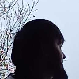 ����, ������, 34 ����