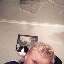 ���� �����, ���������, 33 ���� - ��������� 1 ������� 2023