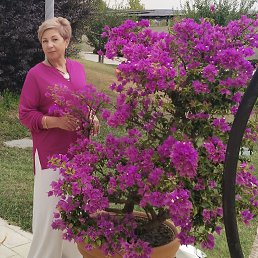 , 55, 
