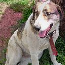 ���� �����, ��������, 47 ��� - ��������� 18 ���� 2025