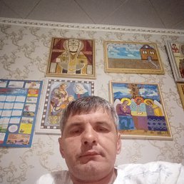 ������, 40 ���, ���������