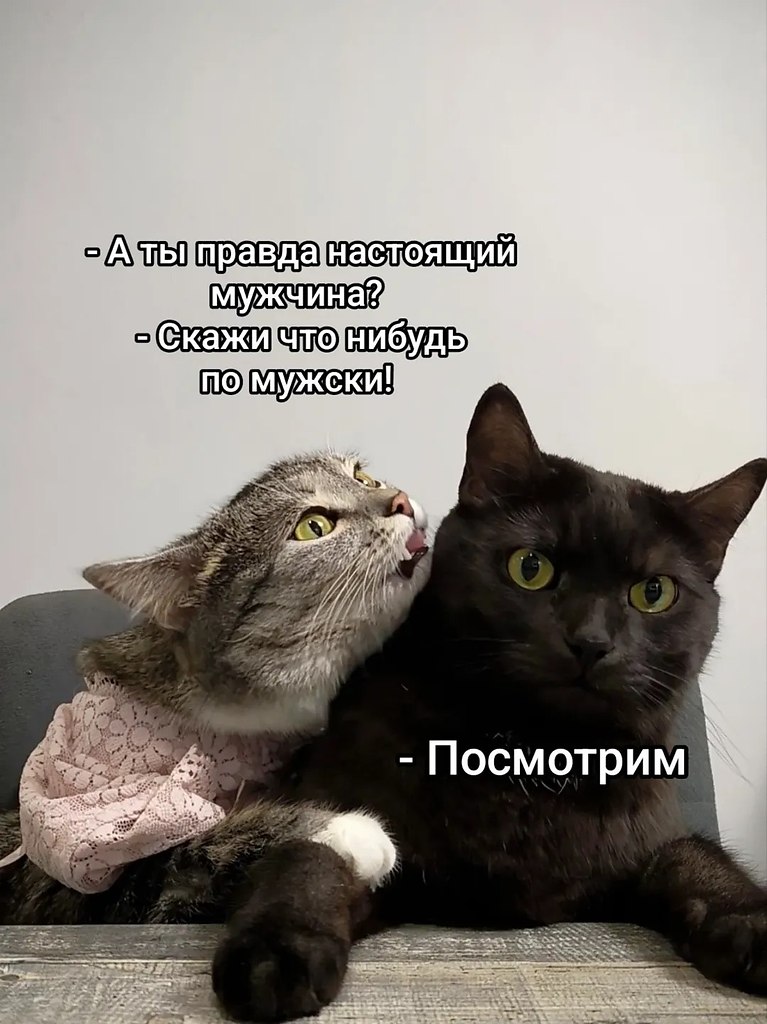 � ����... - 18 ������ 2025 � 14:08
