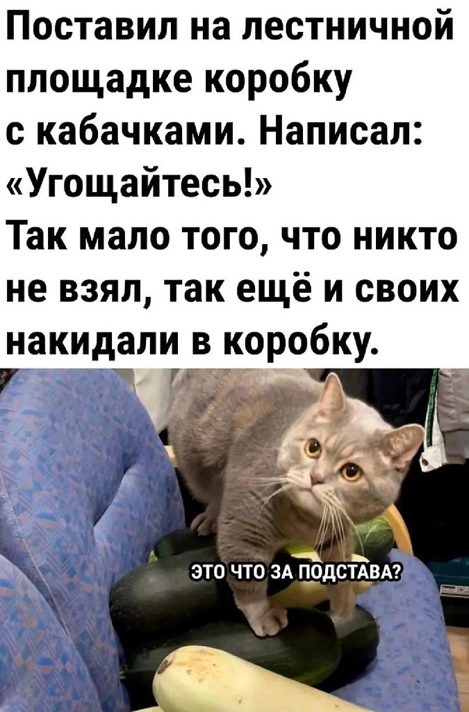   - 27  2024  09:20