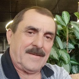 ������, ���������, 67 ���