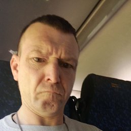  , 41 , 