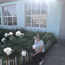 , 52, 