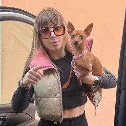 ����, 28 ���, �����������