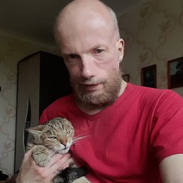 , 44, 