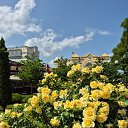  , , 43  -  17  2025   H