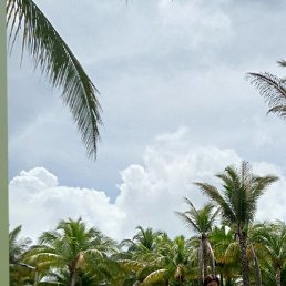 Jean, ������, 38 ���