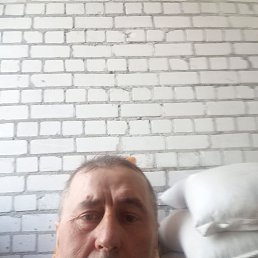 ���� ������, ������, 54 ���� - ��������� 31 ����� 2026