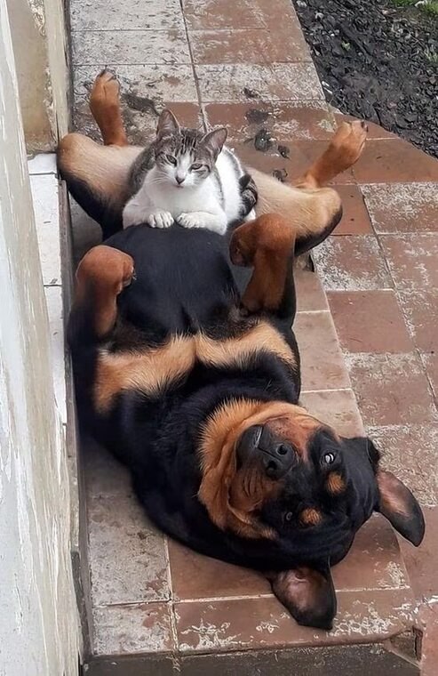  !)