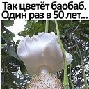  , , 84  -  16  2025    