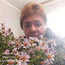 ���� ����, �������, 49 ��� - ��������� 17 ������� 2025 � ������ ���� ����������