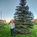  Alexandr,   -  8  2025    